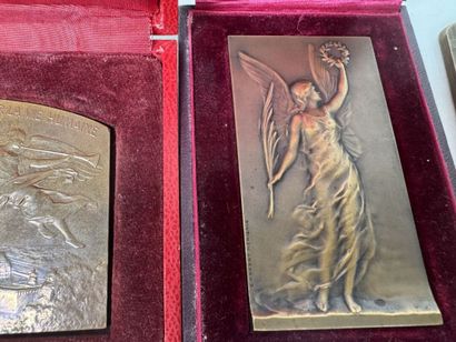 Lot de médailles en bronze et bronze argent...