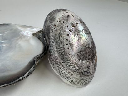 Lot comprenant :
- valve de coquille en nacre.
19,5...
