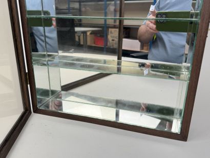 Petite vitrine murale en bois façon loupe...