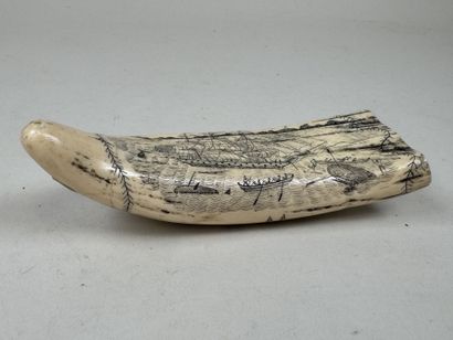 Réplique d'un SCRIMSHAW en résine à l'imitation...