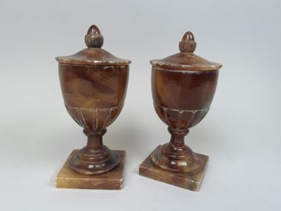 Paire de vases Médicis en albâtre à décor...