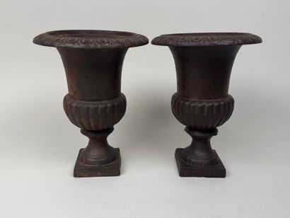 Paire de petits vases Médicis en fonte à...