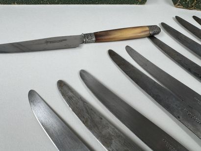 MENAGER à Chartres.
Série de 12 couteaux...