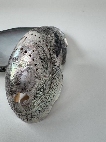 Lot comprenant :
- valve de coquille en nacre.
19,5...