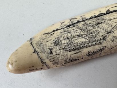 Réplique d'un SCRIMSHAW en résine à l'imitation...