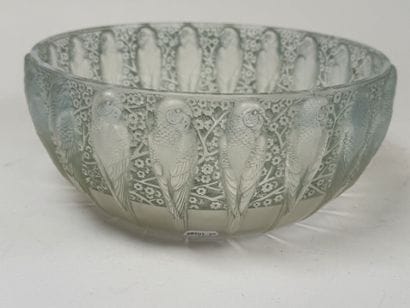 René LALIQUE (1860-1945).
Modèle PERRUCHES
Jatte...