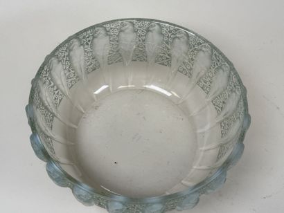 René LALIQUE (1860-1945).
Modèle PERRUCHES
Jatte...