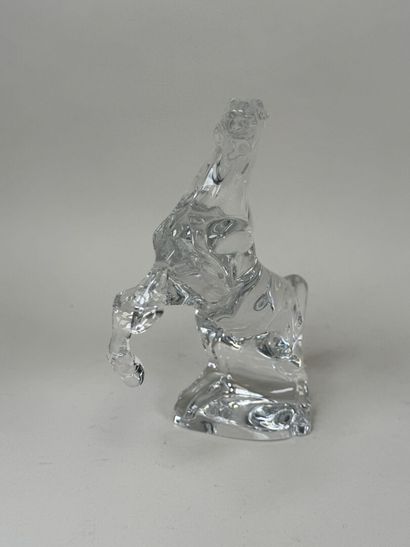 BACCARAT.
Création ALLISON HAWKES.

