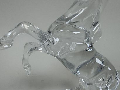 BACCARAT.
Création ALLISON HAWKES.
