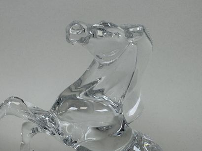 BACCARAT.
Création ALLISON HAWKES.
