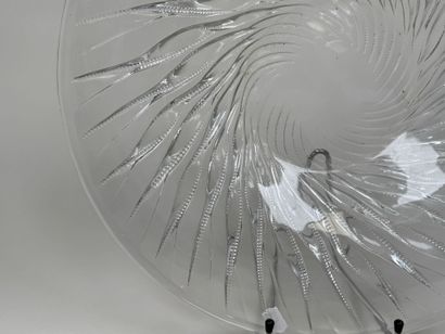 René LALIQUE (1860 - 1945).
Modèle ALGUES.
Plat...