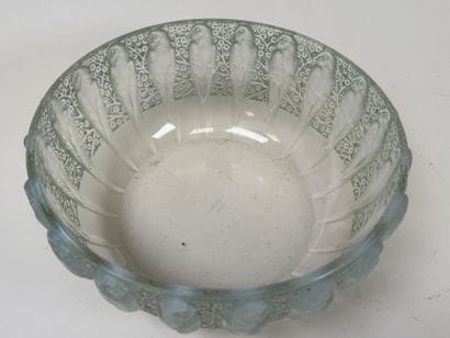 René LALIQUE (1860-1945).
Modèle PERRUCHES
Jatte...