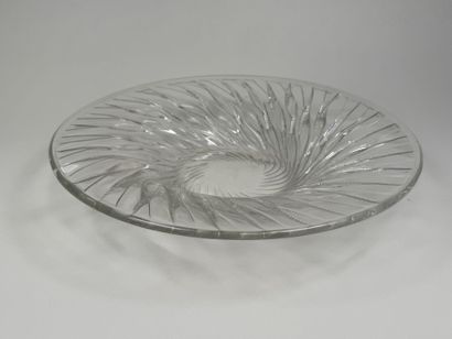 René LALIQUE (1860 - 1945).
Modèle ALGUES.
Plat...