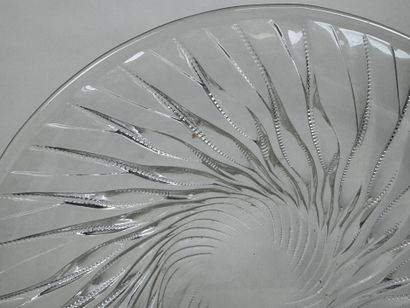 René LALIQUE (1860 - 1945).
Modèle ALGUES.
Plat...