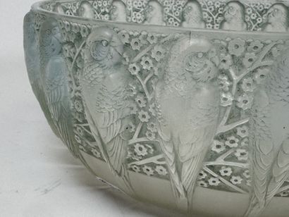 René LALIQUE (1860-1945).
Modèle PERRUCHES
Jatte...