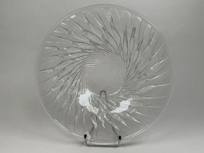 René LALIQUE (1860 - 1945).
Modèle ALGUES.
Plat...