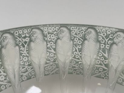 René LALIQUE (1860-1945).
Modèle PERRUCHES
Jatte...