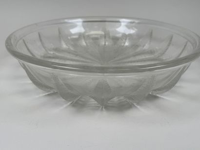 LALIQUE France.
