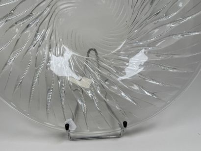 René LALIQUE (1860 - 1945).
Modèle ALGUES.
Plat...