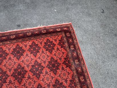 Hand-knotted wool rug with an orange background.
215...