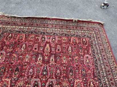 Hand-knotted wool rug with a decorative design...