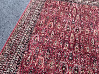 Hand-knotted wool rug with a decorative design...