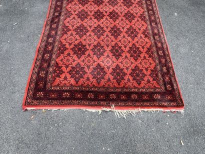 Hand-knotted wool rug with an orange background.
215...