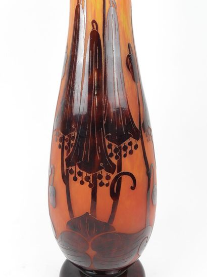 LE VERRE FRANCAIS.
Campanulas.
Large glass...