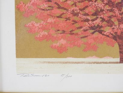 Hajime NAMIKI (1947). 
L'arbre rouge sur...