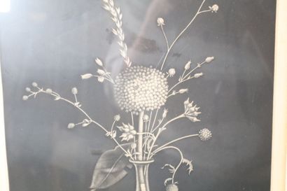 Kiyoshi HASEGAWA (1891-1980).
Graminées dans...