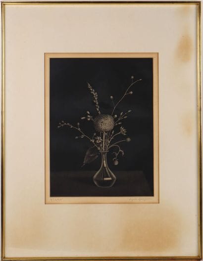 Kiyoshi HASEGAWA (1891-1980).
Graminées dans...