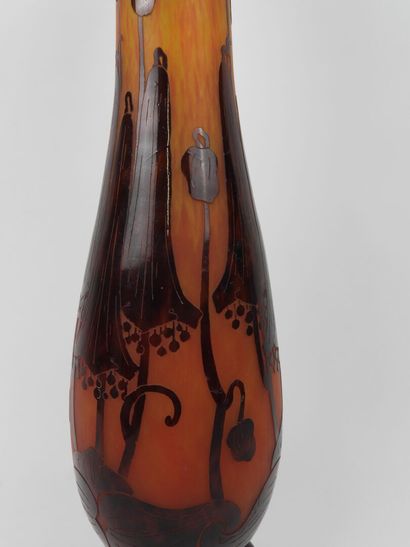 LE VERRE FRANCAIS.
Campanulas.
Large glass...