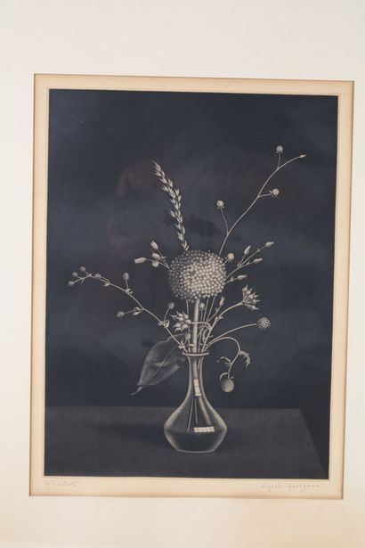 Kiyoshi HASEGAWA (1891-1980).
Graminées dans...