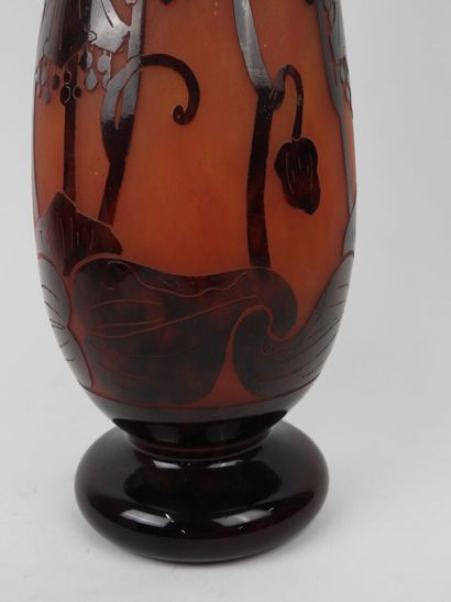 LE VERRE FRANCAIS.
Campanulas.
Large glass...