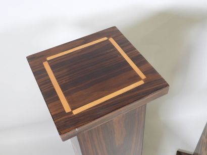 Paire de gaines carrées en bois exotique...