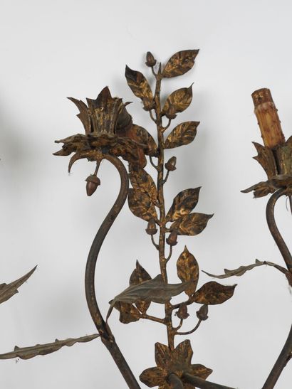 Paire d'appliques à deux bras de lumière...