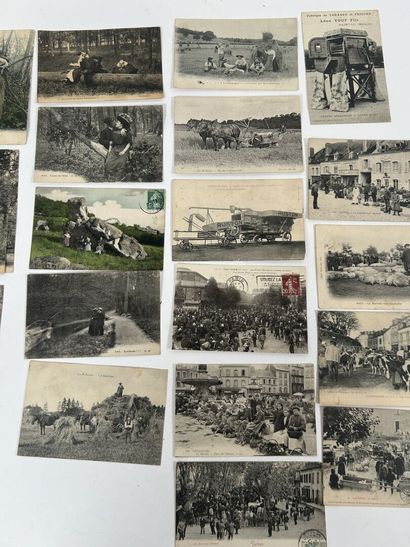 Scènes champêtres: Lot de plus de 60 cartes...