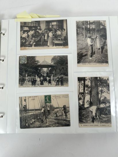Cartes Postales - Sélection : Exceptionnel...