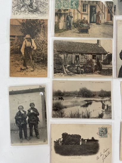 Cartes Postales - En Sologne : Ensemble de...