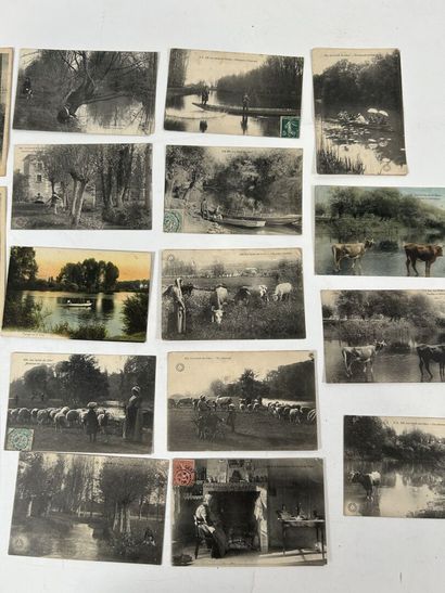 Centre : Nombreuses cartes sur le centre...