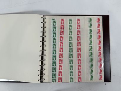 Roulette + Planches : Lot de roulettes dont...