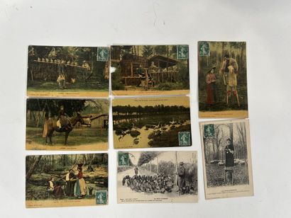Scènes champêtres: Lot de plus de 60 cartes...
