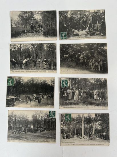 Chasse à Courre : Ensemble de 39 cartes sur...