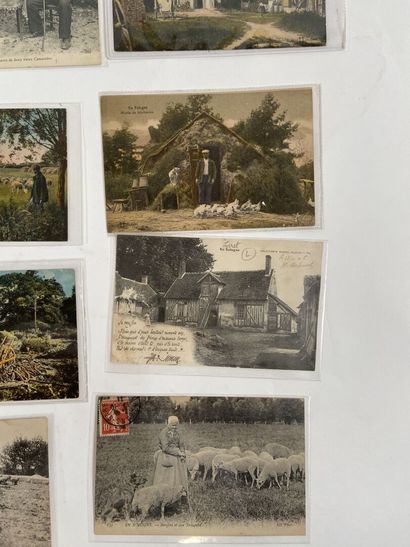 Cartes Postales - En Sologne : Ensemble de...
