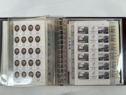 Roulette + Planches : Lot de roulettes dont...