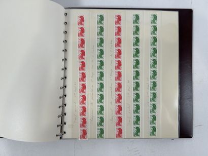 Roulette + Planches : Lot de roulettes dont...
