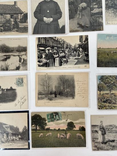 Cartes Postales - En Sologne : Ensemble de...