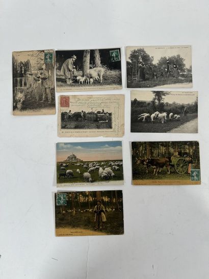 Scènes champêtres: Lot de plus de 60 cartes...