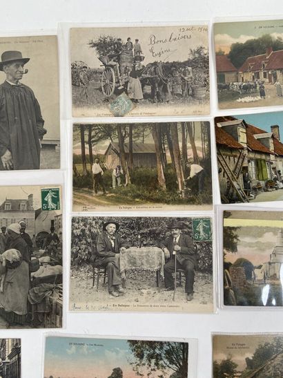 Cartes Postales - En Sologne : Ensemble de...