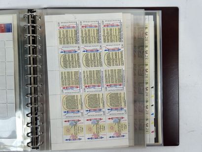 Roulette + Planches : Lot de roulettes dont...